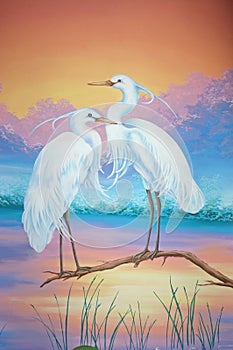 White herons