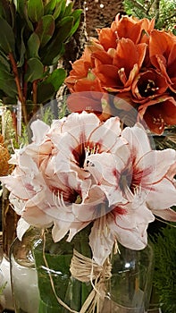 White hippeastrum wedding bouquet