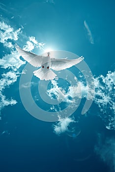 White Holy Dove flying in the sky vertical image