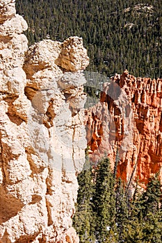 White hoodoos, Rainbow Point, Bryce Canyon