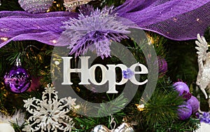 White Hope Sign in Christmas Tree