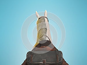 White horse with bridle back view from above 3d render on blue background with shadow
