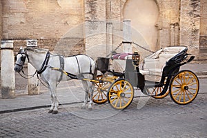 White Horse with Carriage. Sevilla. Spain