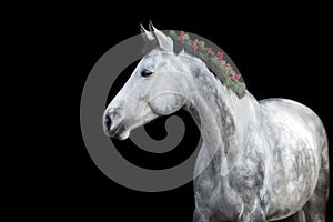 White horse with christmas decoration