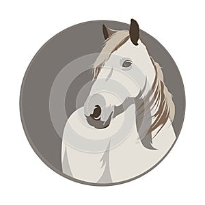 White horse in a circle. Horse logo. Vector illustration of horse.