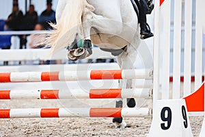 White horse hooves close-up when jumping over a barrier. Details of equestrian sports