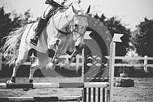 White horse jumping in a horse competition