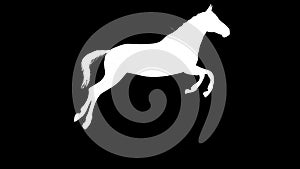 White horse jumping silhouette loop new quality unique animation dynamic joyful 4k video stock footage