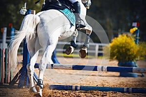 A white horse jumps over the blue barrier at a show jumping competition