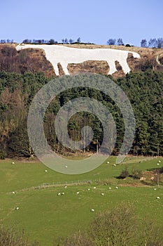 White Horse at Kilburn - Great Britain