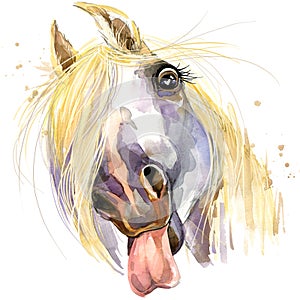 White horse kiss T-shirt graphics. horse illustration with splash watercolor textured background.