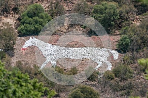 White Horse on Naval Hill in Bloemfontein