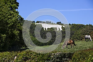 The White Horse near Kilburn - Yorkshire - England