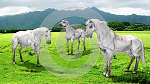 White horse prairie animals animated background 3D Rendering Animation