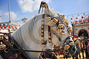 White horse in the Seville Fair, Andalusia, Spain