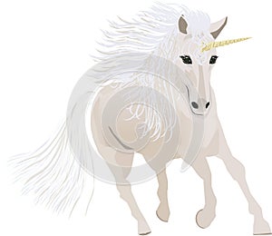 White Horse Unicorn