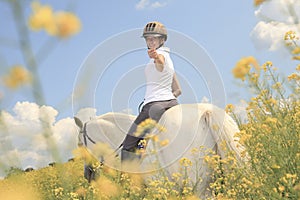 A white horse on yellow flower field with a rider