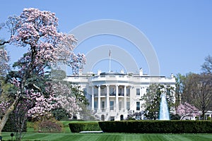 The White House