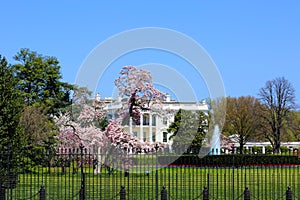 White House