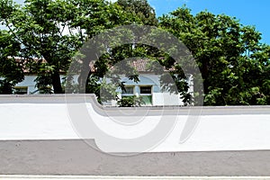 A white house behind green trees and a fence