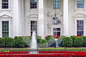 White House Door Red Flowers Pennsylvania Ave Washington DC