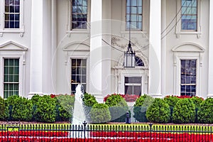 White House Door Red Flowers Pennsylvania Ave Washington DC