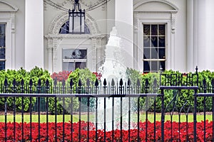 White House Door Red Flowers Pennsylvania Ave Washington DC photo