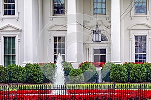 White House Door Red Flowers Pennsylvania Ave Washington DC photo