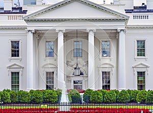 White House Door Red Flowers Pennsylvania Ave Washington DC