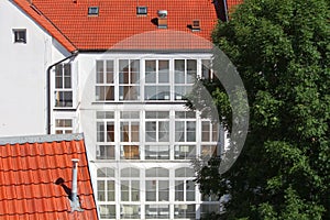 White house and hotel with many windows, red roof tile and old big tree