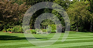 White House Kitchen Garden