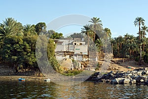 Typical white houses of a Nubian village surrounded by palm trees near Cairo Egypt and on the banks
