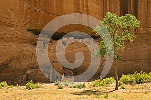 White House ruins, Canyon de Chelly