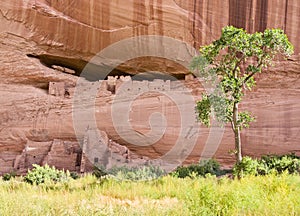 White House Ruins in Canyon de Chelly