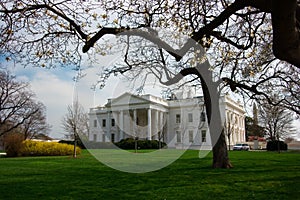 The White House in Spring