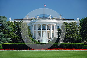 The White House in Washington DC