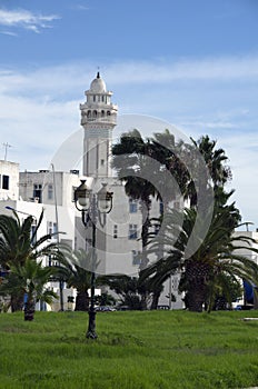 White houses,palm trees and minaret in La Goulette,Tunisia photo