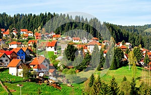 White houses with red-tiled roof by woods photo