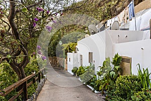 White houses on the slopes of Guayadeque ravine, Gran Canaria, Spain photo