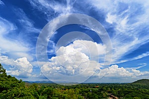 White huge cloud above the tree forest and blue sky