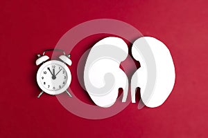 White human kidney symbol abd alarm clock on red background. World Kidney Day