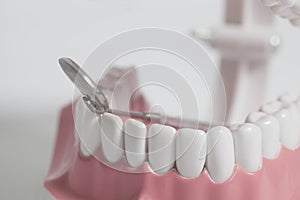White human teeth model and dental mirror instrument. Dental care concept.