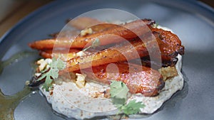 White hummus carrot plate closeup. Mediterranean cuisine vegetables appetizer