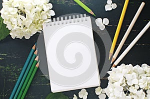 White hydrangea flowers and pencils on a dark background