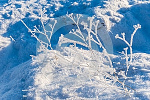 White ice crystals on grass in bright sunlight. Snow crystals close-up on a bright frosty winter day. White sparkling snow surface