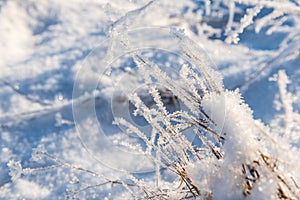 White ice crystals on grass in bright sunlight. Snow crystals close-up on a bright frosty winter day. White sparkling snow surface