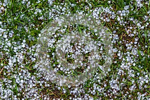 White ice hail on the green grass after summer storm