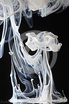 White ink swirls in water photo