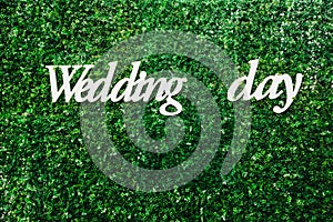 White inscription wedding day on a big green wall