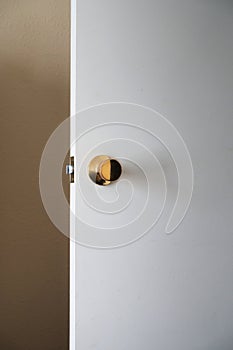 A white interior door with a brass knob and beige wall